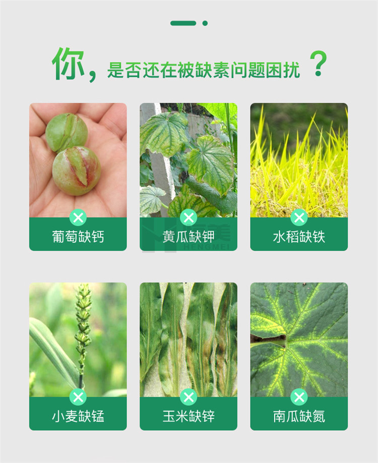 高智能土壤養(yǎng)分檢測儀怎么選？